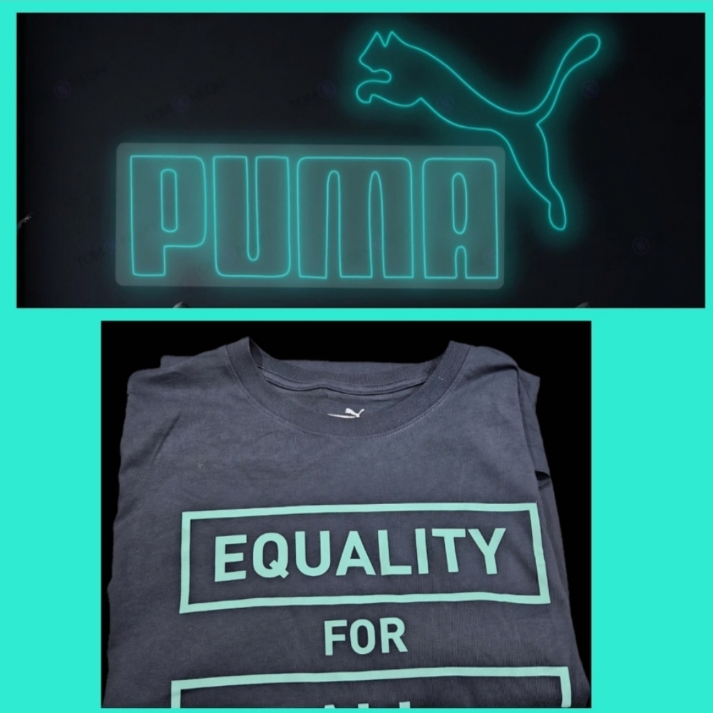 PUMA grey regular size T-shirt for men - Equality for all